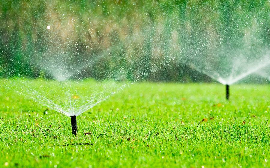 Sprinkler Head Leaking: How to Fix It